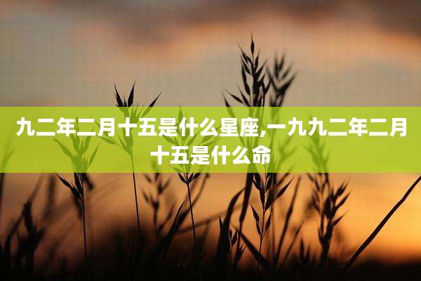 九二年二月十五是什么星座,一九九二年二月十五是什么命