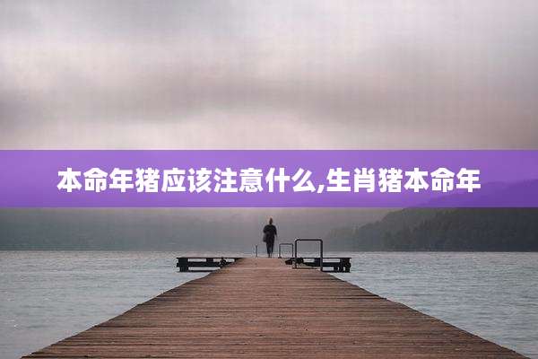 本命年猪应该注意什么,生肖猪本命年