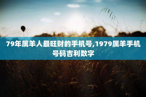 79年属羊人最旺财的手机号,1979属羊手机号码吉利数字