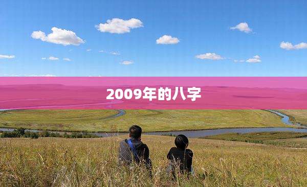 2009年的八字