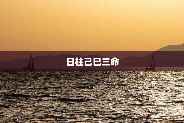 日柱己巳三命