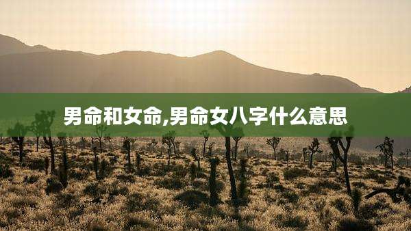 男命和女命,男命女八字什么意思