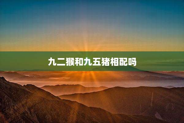 九二猴和九五猪相配吗