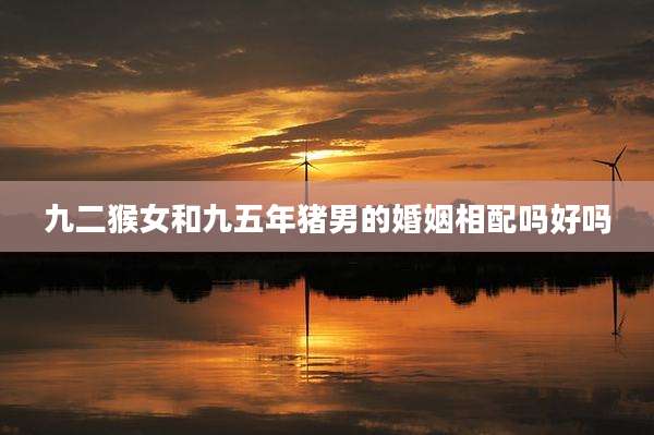 九二猴女和九五年猪男的婚姻相配吗好吗