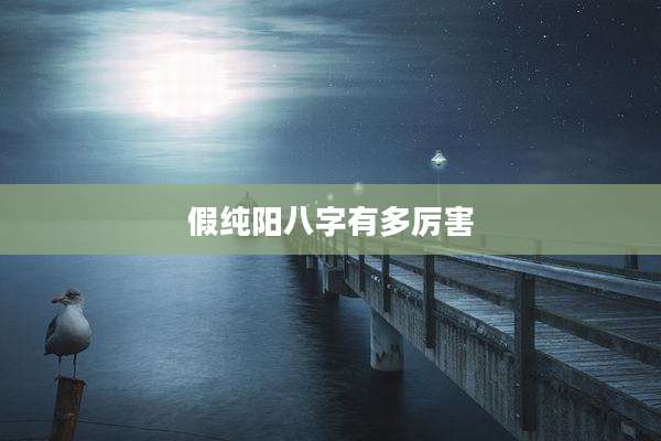 假纯阳八字有多厉害