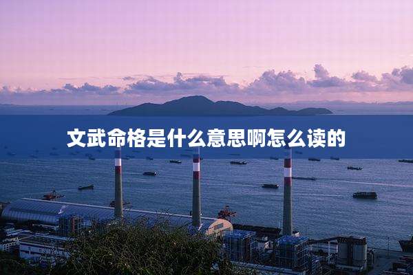 文武命格是什么意思啊怎么读的