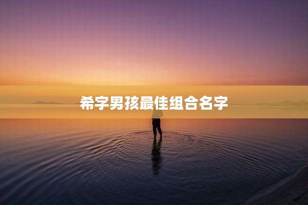 希字男孩最佳组合名字