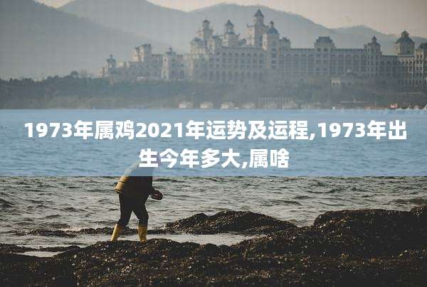 1973年属鸡2021年运势及运程,1973年出生今年多大,属啥