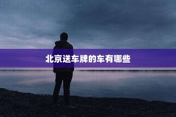 北京送车牌的车有哪些