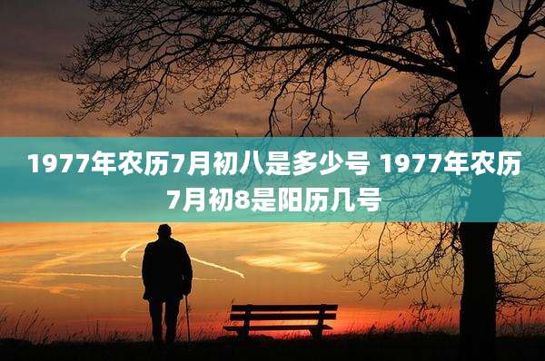 1977年农历7月初八是多少号 1977年农历7月初8是阳历几号