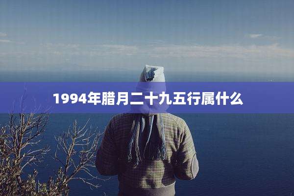 1994年腊月二十九五行属什么