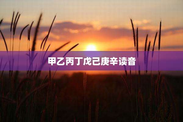 甲乙丙丁戊己庚辛读音