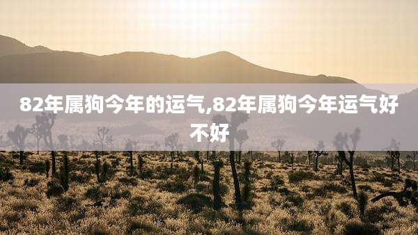 82年属狗今年的运气,82年属狗今年运气好不好