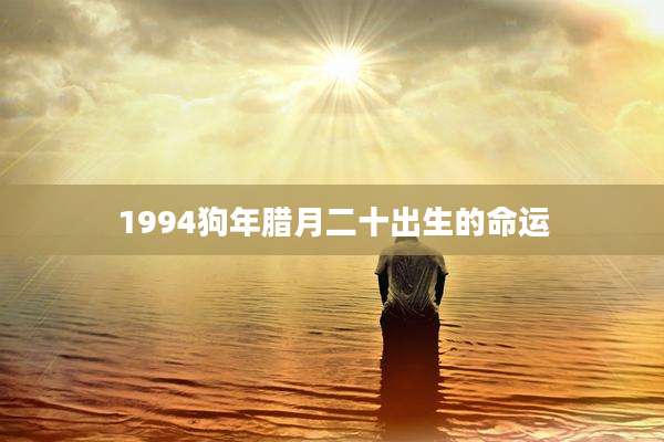 1994狗年腊月二十出生的命运