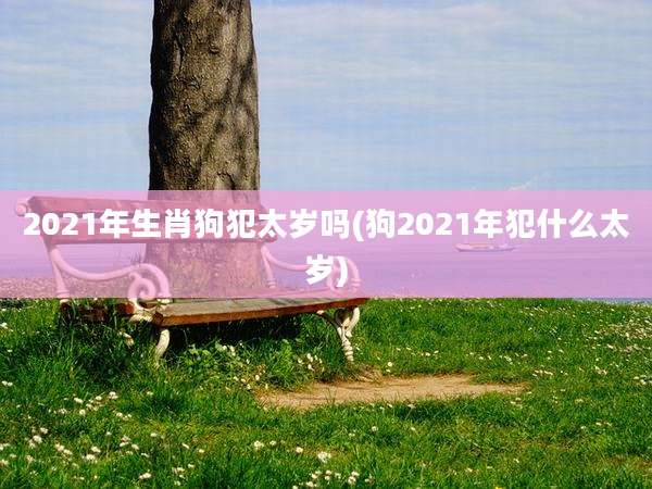 2021年生肖狗犯太岁吗(狗2021年犯什么太岁)