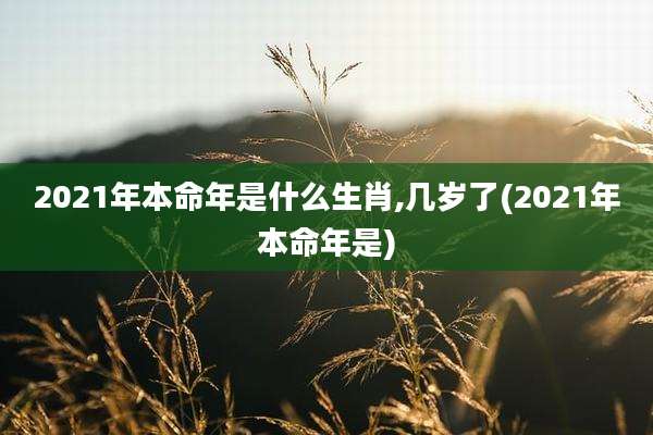 2021年本命年是什么生肖,几岁了(2021年本命年是)