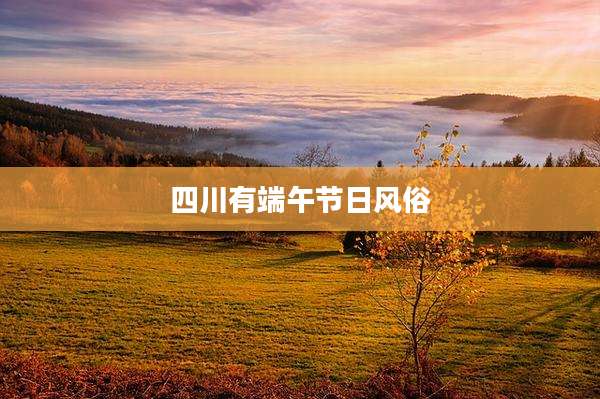 四川有端午节日风俗