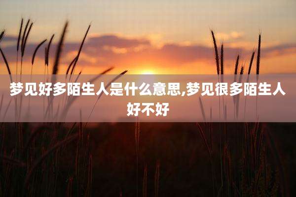 梦见好多陌生人是什么意思,梦见很多陌生人好不好