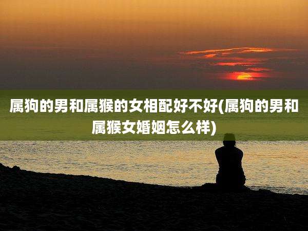 属狗的男和属猴的女相配好不好(属狗的男和属猴女婚姻怎么样)