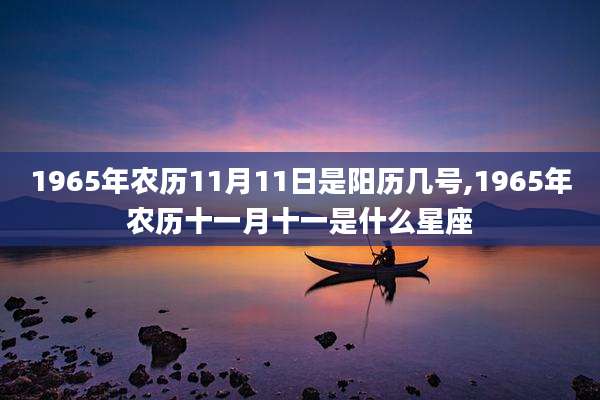 1965年农历11月11日是阳历几号,1965年农历十一月十一是什么星座