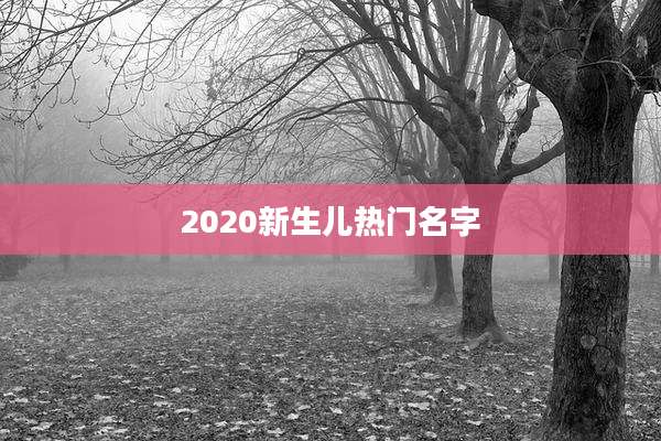 2020新生儿热门名字
