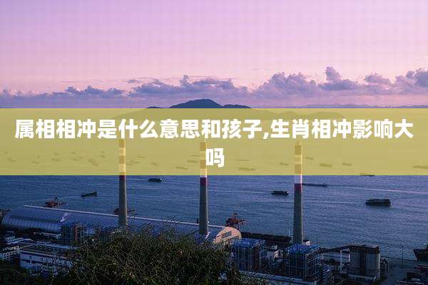 属相相冲是什么意思和孩子,生肖相冲影响大吗
