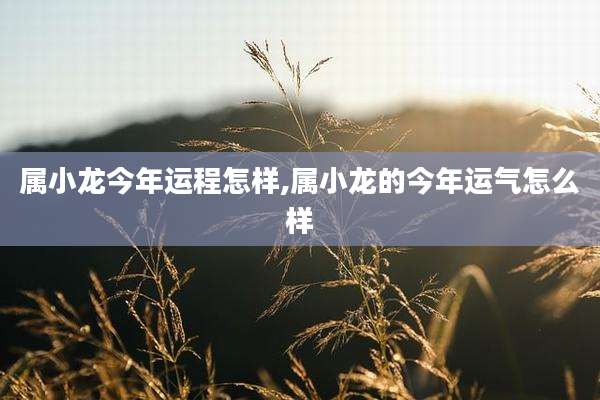 属小龙今年运程怎样,属小龙的今年运气怎么样