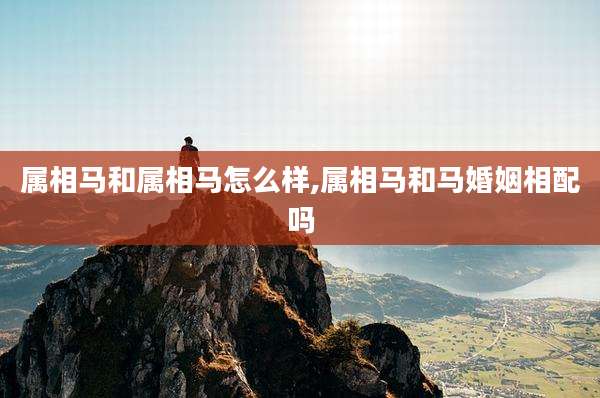 属相马和属相马怎么样,属相马和马婚姻相配吗