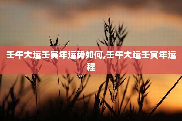 壬午大运壬寅年运势如何,壬午大运壬寅年运程