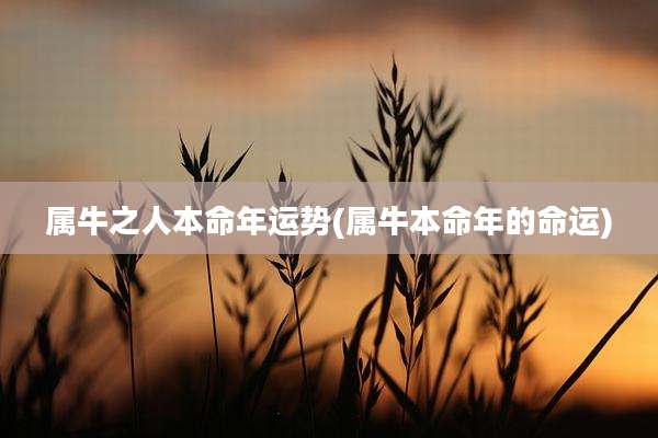 属牛之人本命年运势(属牛本命年的命运)