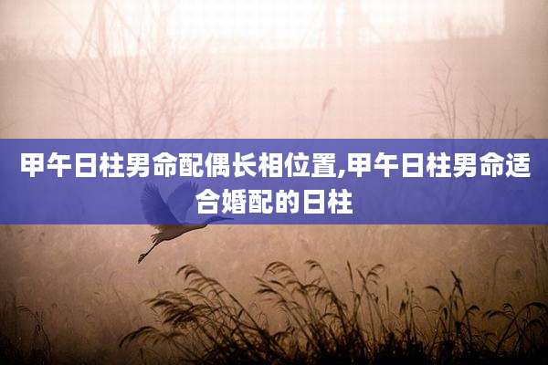 甲午日柱男命配偶长相位置,甲午日柱男命适合婚配的日柱
