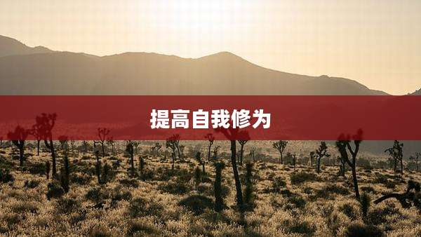提高自我修为