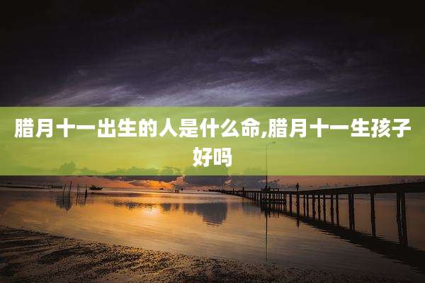 腊月十一出生的人是什么命,腊月十一生孩子好吗
