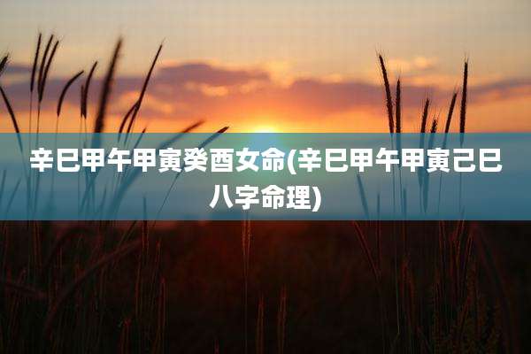 辛巳甲午甲寅癸酉女命(辛巳甲午甲寅己巳八字命理)