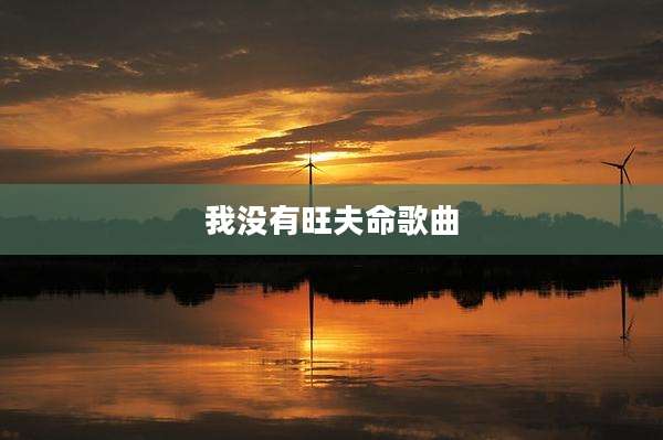 我没有旺夫命歌曲