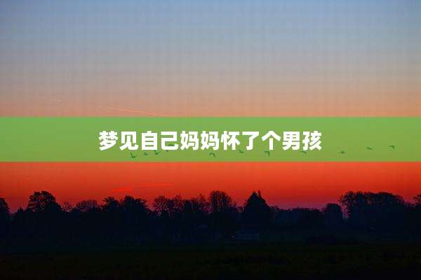 梦见自己妈妈怀了个男孩