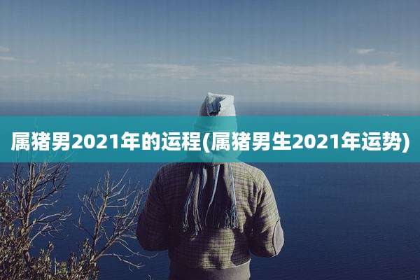 属猪男2021年的运程(属猪男生2021年运势)