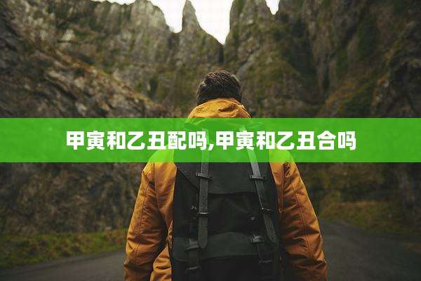 甲寅和乙丑配吗,甲寅和乙丑合吗
