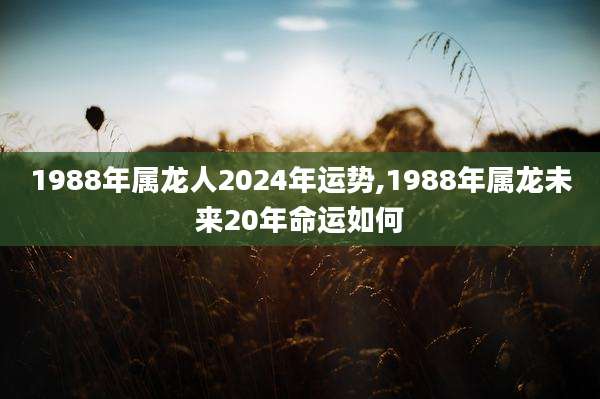 1988年属龙人2024年运势,1988年属龙未来20年命运如何