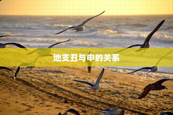 地支丑与申的关系