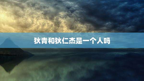 狄青和狄仁杰是一个人吗
