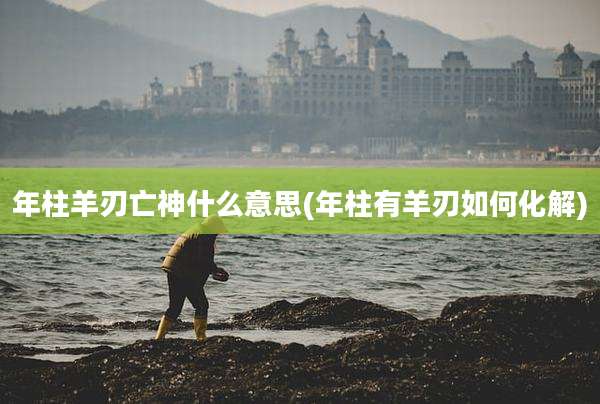 年柱羊刃亡神什么意思(年柱有羊刃如何化解)