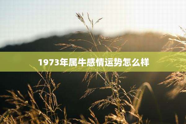 1973年属牛感情运势怎么样