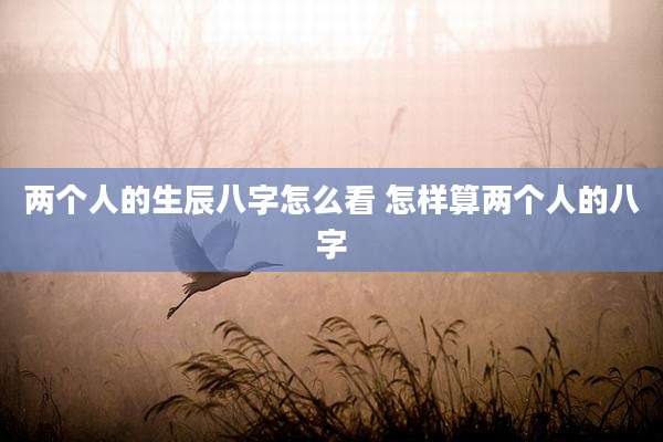 两个人的生辰八字怎么看 怎样算两个人的八字
