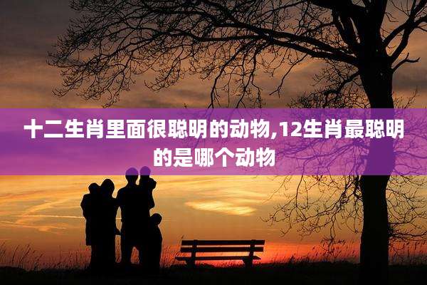十二生肖里面很聪明的动物,12生肖最聪明的是哪个动物