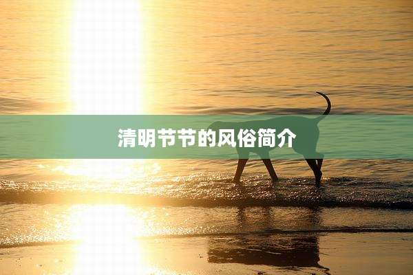 清明节节的风俗简介