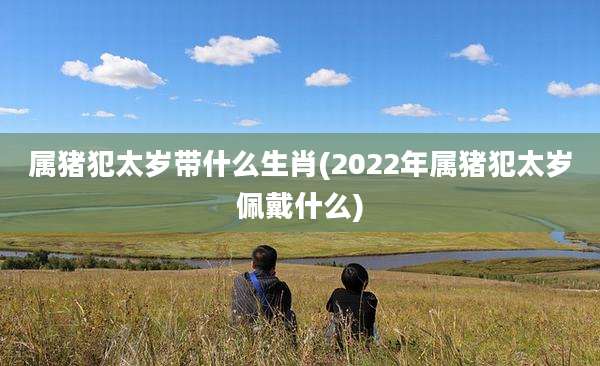 属猪犯太岁带什么生肖(2022年属猪犯太岁佩戴什么)