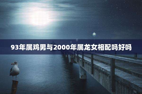 93年属鸡男与2000年属龙女相配吗好吗