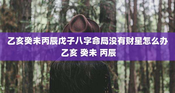 乙亥癸未丙辰戊子八字命局没有财星怎么办 乙亥 癸未 丙辰