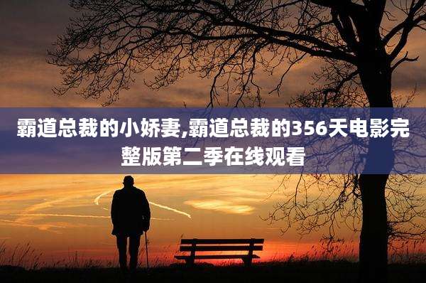 霸道总裁的小娇妻,霸道总裁的356天电影完整版第二季在线观看